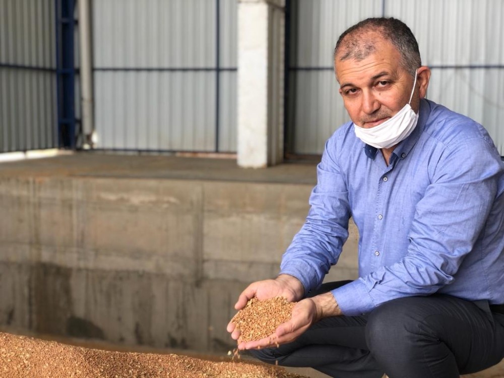 Kızıltepe’de hasadı başlayan kırmızı mercimek hububat merkezine getirildi 