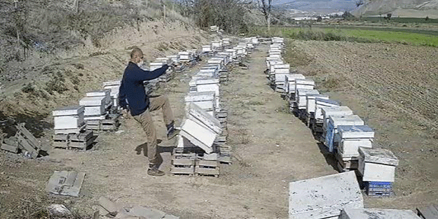 Kızından boşanmak istedi diye damadına bakın ne yaptı