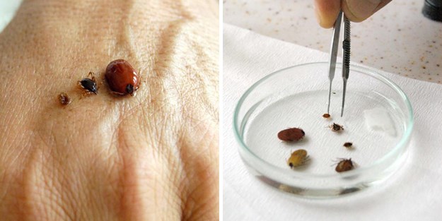 Bu 19 şehirde yaşayanlar dikkat!