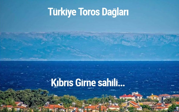 KKTC bu kareyi konuşuyor! Torosları gördüler...