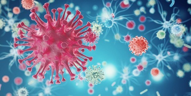 KKTC'de son 24 saatte 25 vaka