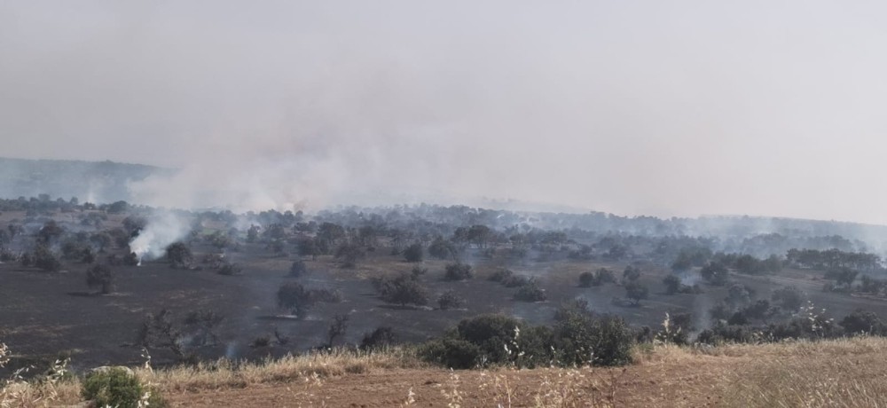 KKTC’de üç farklı bölgede yangın devam ediyor 