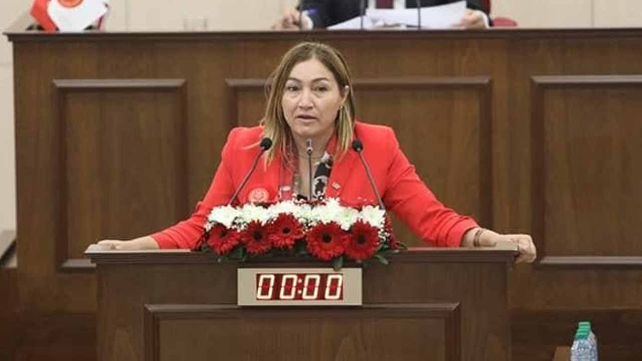 KKTC’li vekil Öztürk’ten ‘federasyon’ isteyenlere tepki: KKTC, İsrail’in planlarına asla teslim olmayacak!