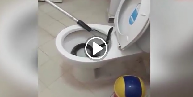Klozetten yılan çıktı!