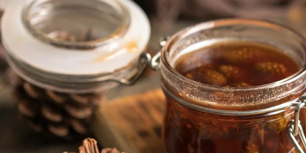 Koah bronşit ve öksürük için kozalak kürü!