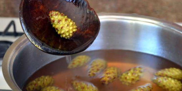 Koah bronşit ve öksürük için kozalak kürü Saraçoğlu'ndan: İkinci turda etki ediyor! Özel bitki ile bunu böyle yapın