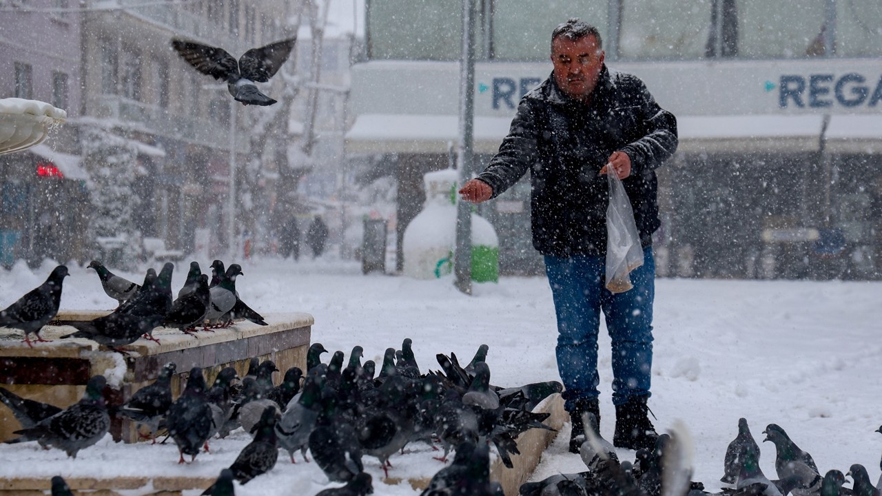 Kocaali’de karın sert yüzüne karşı merhametin sıcak dokunuşu