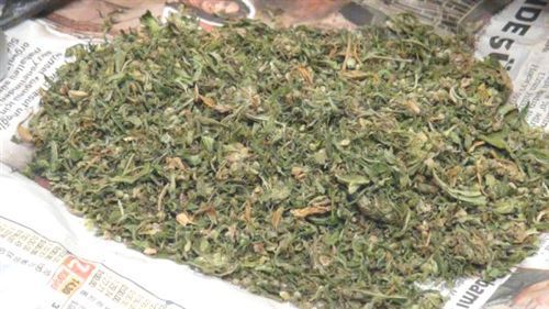 Kuş yemlerinin arasından bakın ne çıktı