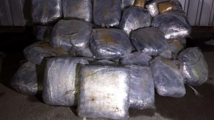Kocaeli'de 310 kilo esrar ele geçirildi