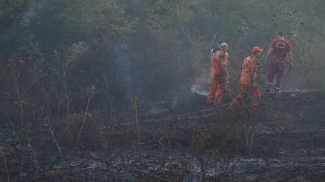 Kocaeli'de 5 hektar ormanlık alan yandı