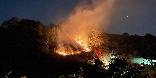 Kocaeli’de anız yangını: Köpek dumanların arasından kurtarıldı