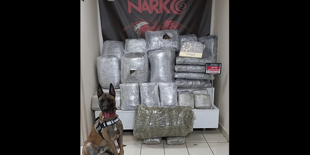 Bir araçta yaklaşık 107 kilogram skunk ele geçirildi