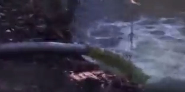 Kocaeli'de büyük skandal! Şoför her şeyi görüntülemiş