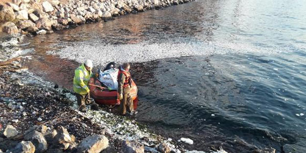 Kocaeli'de denize palm yağı aktı