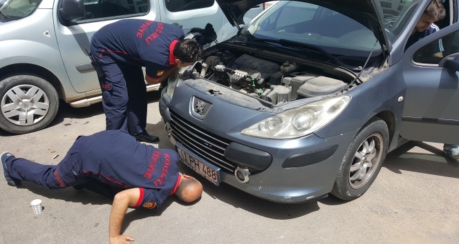 Kocaeli’de itfaiye erlerinin minik kedi yavrusu ile imtihanı