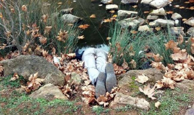 Kocaeli'de kan donduran kare! Bu halde bulundu