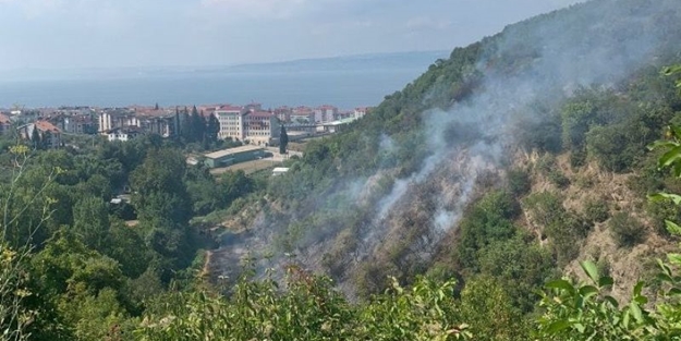 Kocaeli'de orman yangını! 1 kişi gözaltına alındı