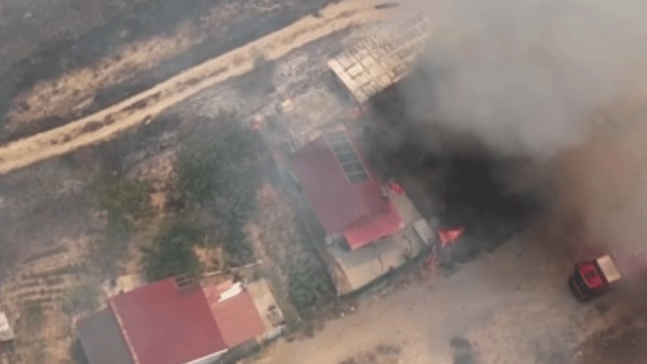 Kocaeli'de orman yangını devam ediyor!