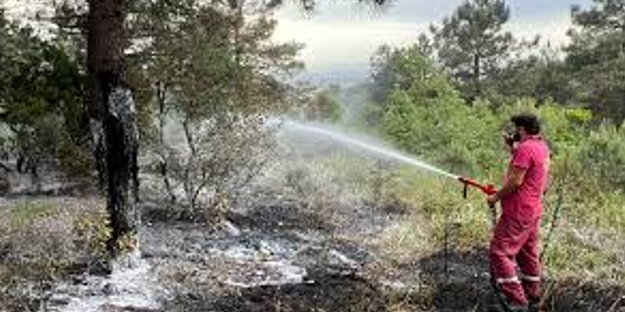 Ormanlık alanda çıkan yangın söndürüldü