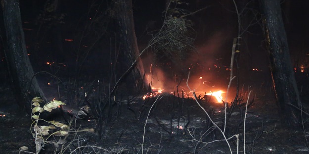 Kocaeli'de ormanlık alanda yangın