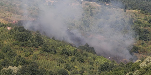 Kocaeli'de örtü yangını