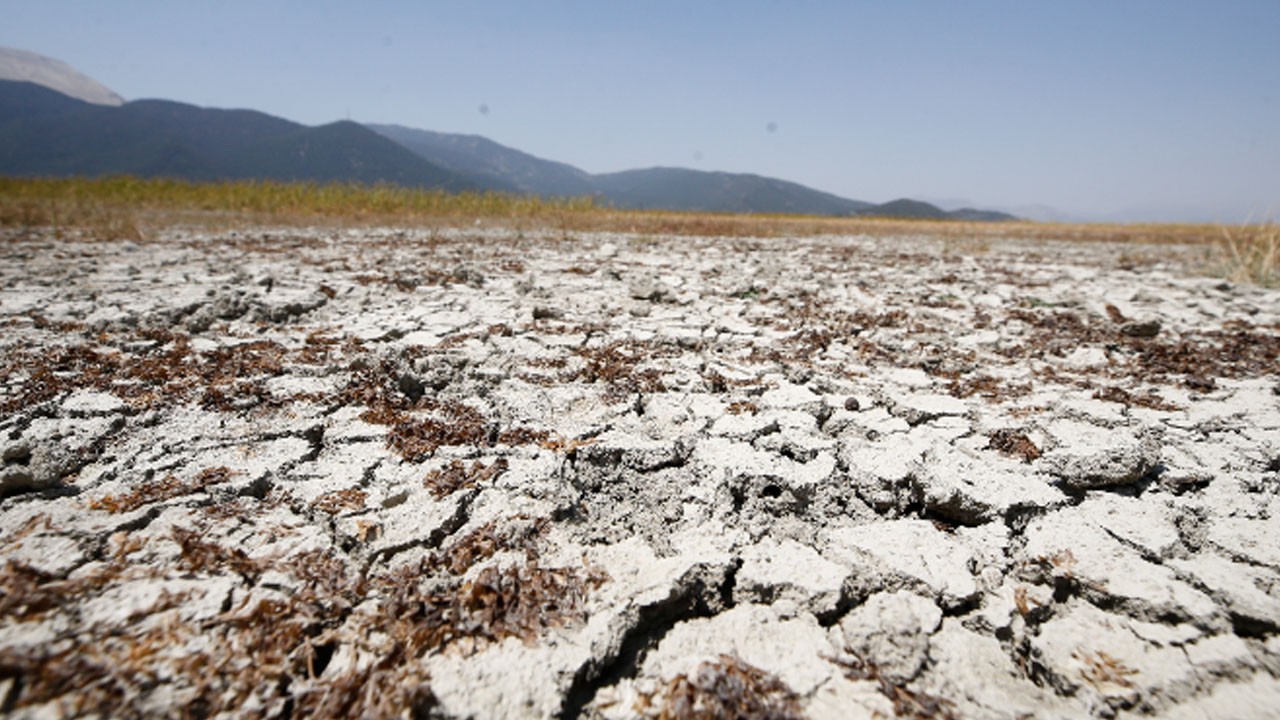 Kocaeli'de su kaynakları alarm veriyor: Su kıtlığı alarmı verildi! Susuzluk iddiası