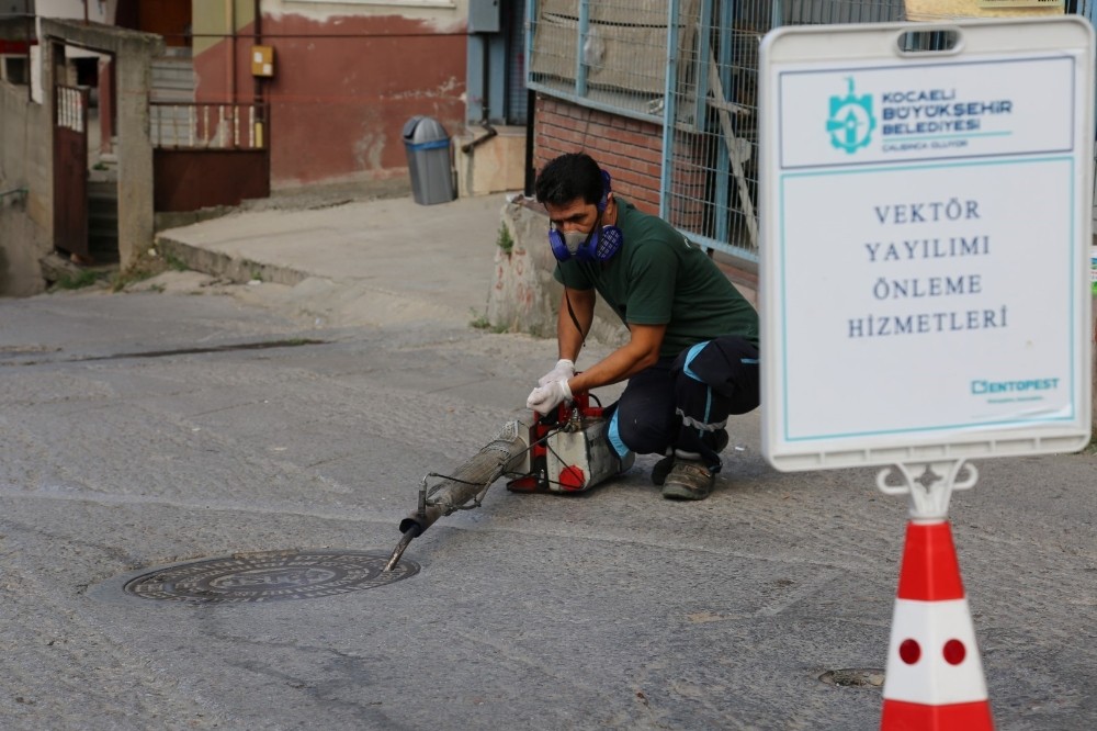 Kocaeli’de vektörle mücadele çalışmaları sürüyor 