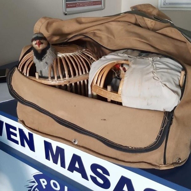 Kocaeli’de yasa dışı keklik avına 4 bin 850 TL ceza 