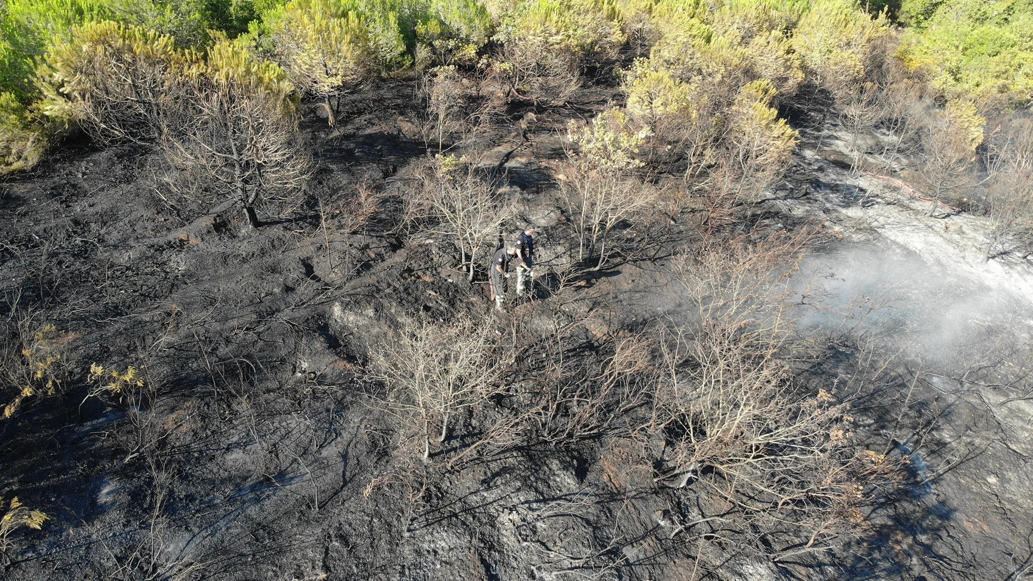 Kocaeli'deki orman yangını 1 saatlik müdahaleyle kontrol altına alındı