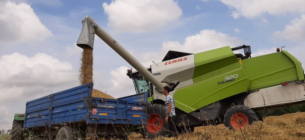 Kocaelili 10 bin çiftçiye, ücretsiz danışmanlık ve veterinerlik hizmeti 