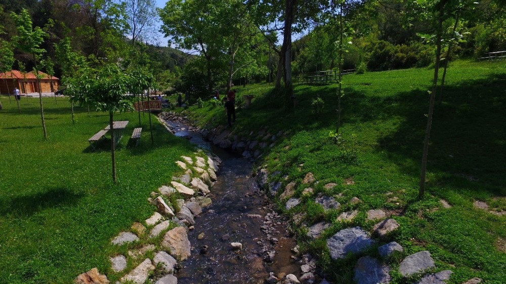 Kocaeli’nde 1 kişiye 12 metrekare yeşil alan 