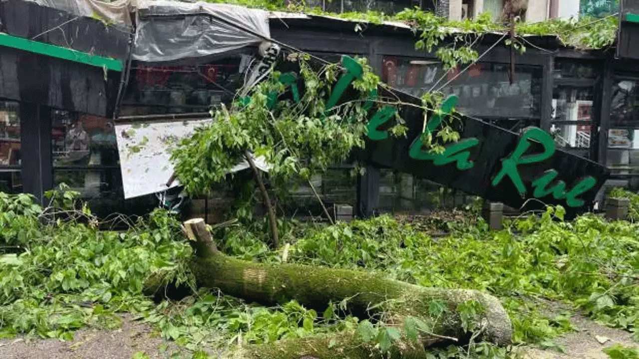 Kocaeli'nde şiddetli rüzgar ortalığı savaş alanına çevirdi!