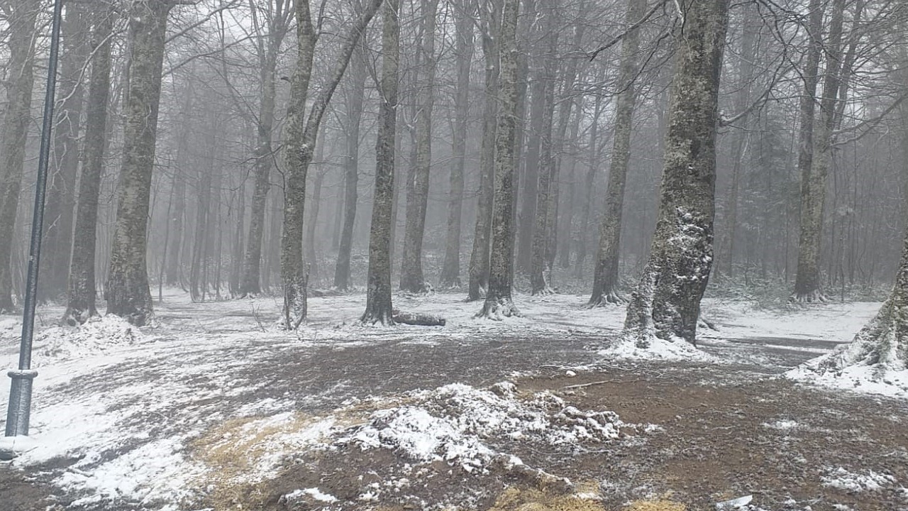Kocaeli'nin yüksek kesimlerine nisan karı