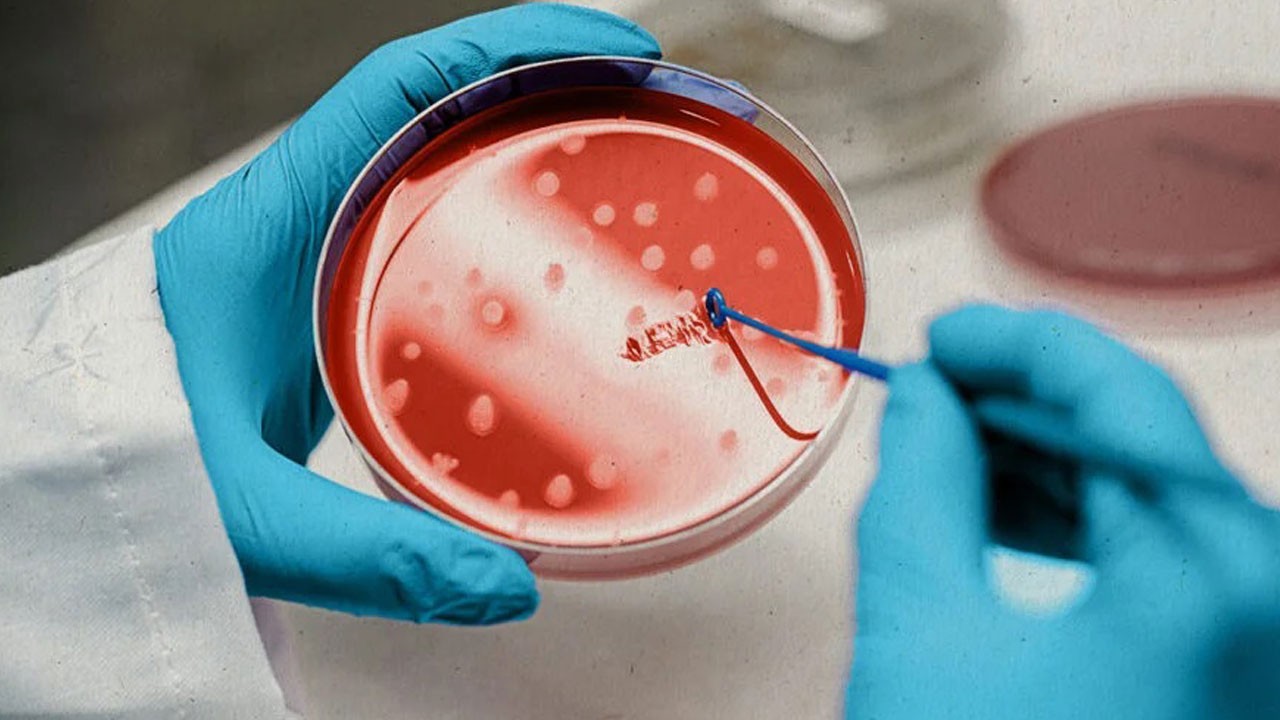 Kök Hücre Tedavisi Nedir? Hangi Hastalıklarda Kullanılır?