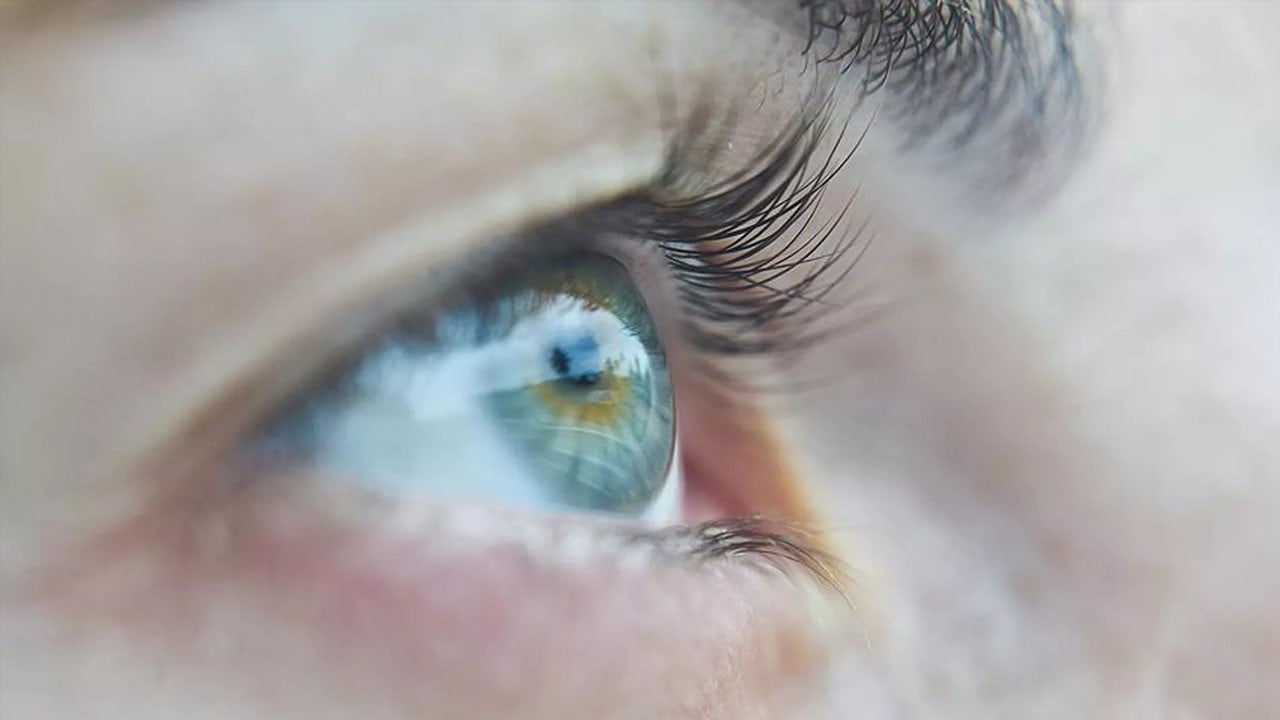 Kök hücreyle görme: İleri yaşta körlük geri döndürüldü