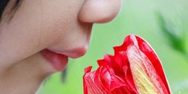 Koku alma becerinizi bakın ne etkiliyor...