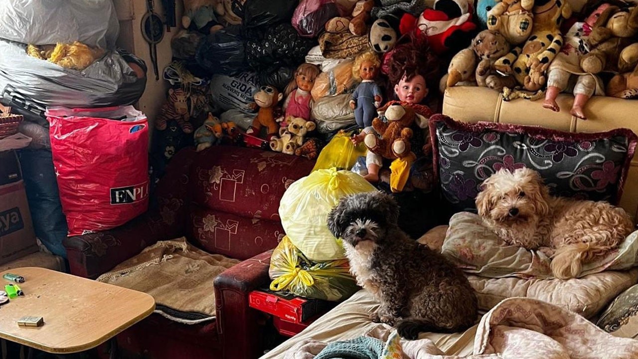 Koku ihbarı gerçeği ortaya çıkardı! Bu evden tam 55 hayvan çıktı