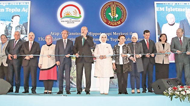 Kökü olmayanlar yok olmaya mahkûm