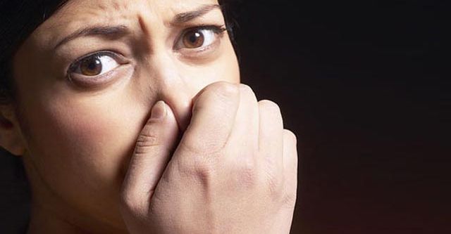 Derenin kokusu cemaati bıktırdı