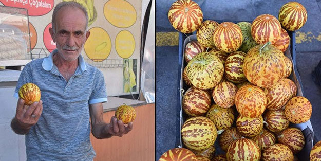 Kokulu kavun tezgaha çıktı