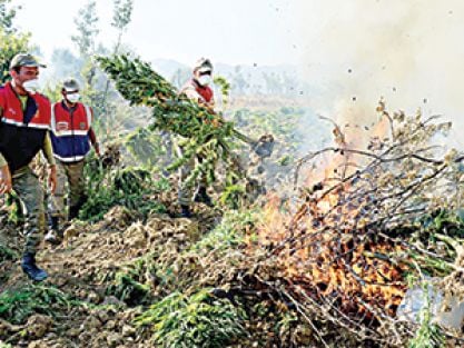 ‘Kök’üne kibrit suyu