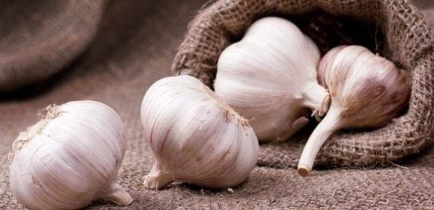 Kokusunu dert etmeyin çiğneyin!