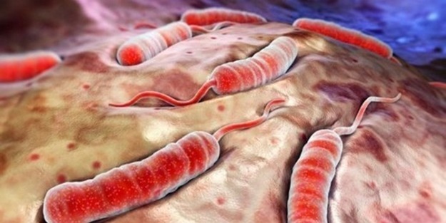 Kolera nedir? Tedavisi nelerdir?