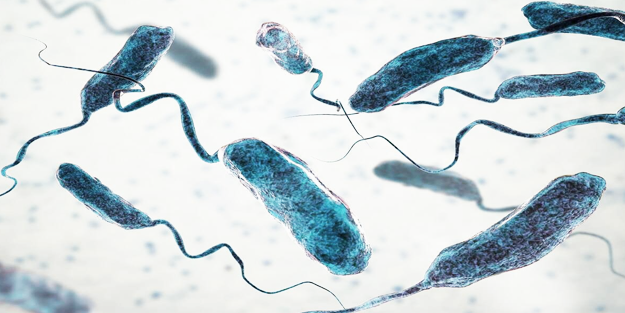 Kolera salgını 91 kişinin ölümüne sebep oldu!