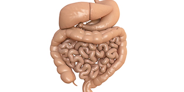 Kolit nedir? Belirtileri nelerdir?