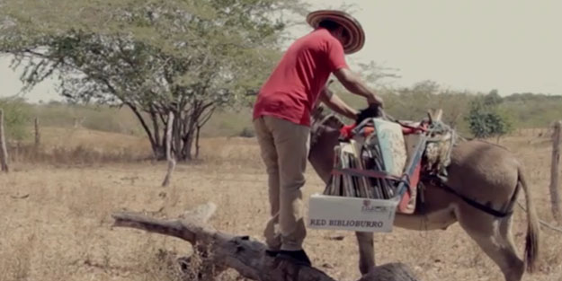 Kolombiya kırsallarında 20 yıllık cevelan: 'Biblioburro' efsanesi