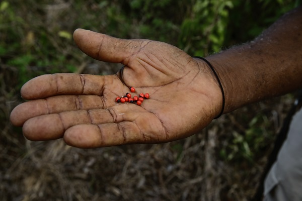 Kolombiya'da 14 Mayıs Dünya Çiftçiler Günü