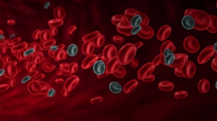 Kolon kanseri tedavisinde umut veren adım