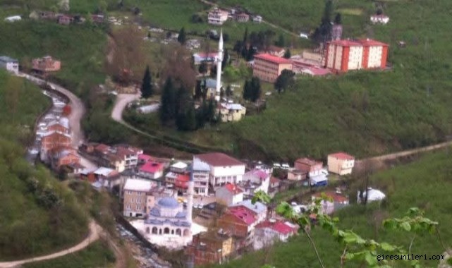 Koltuk sevdası Bozat'ı köy yaptı!