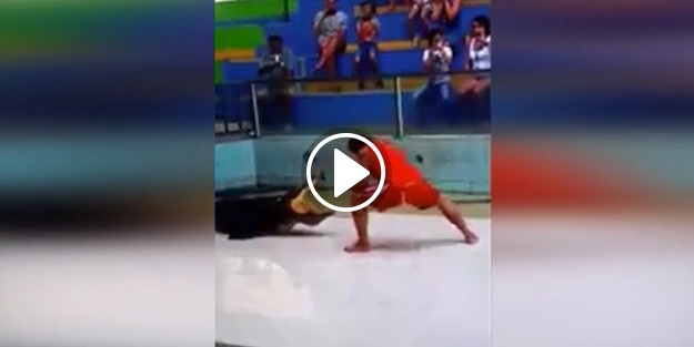 Kolunu kapan timsahtan bakın nasıl kurtuldu!